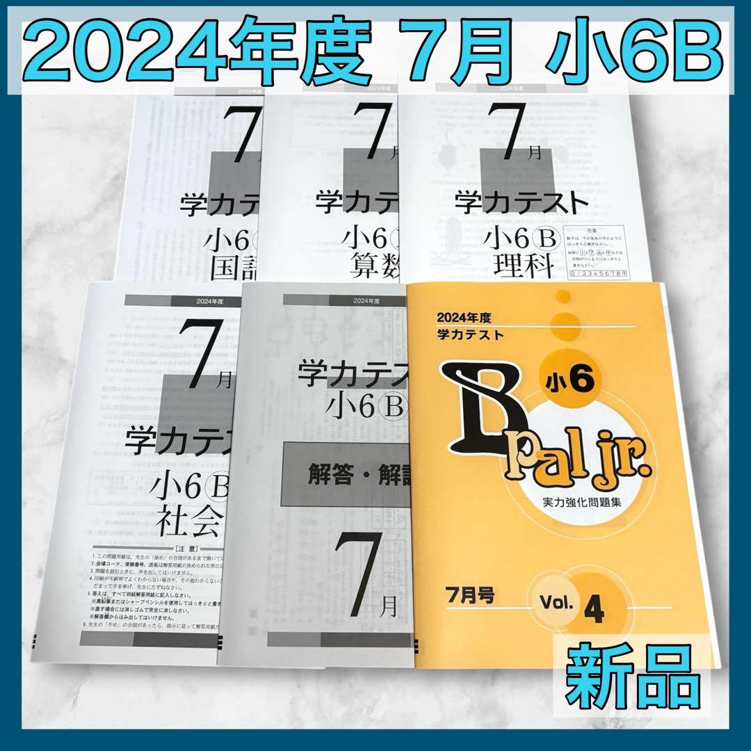 育伸社 学力テスト 2024年 7月 小6 B 4科 国 算 社 理 過去問 - メルカリ