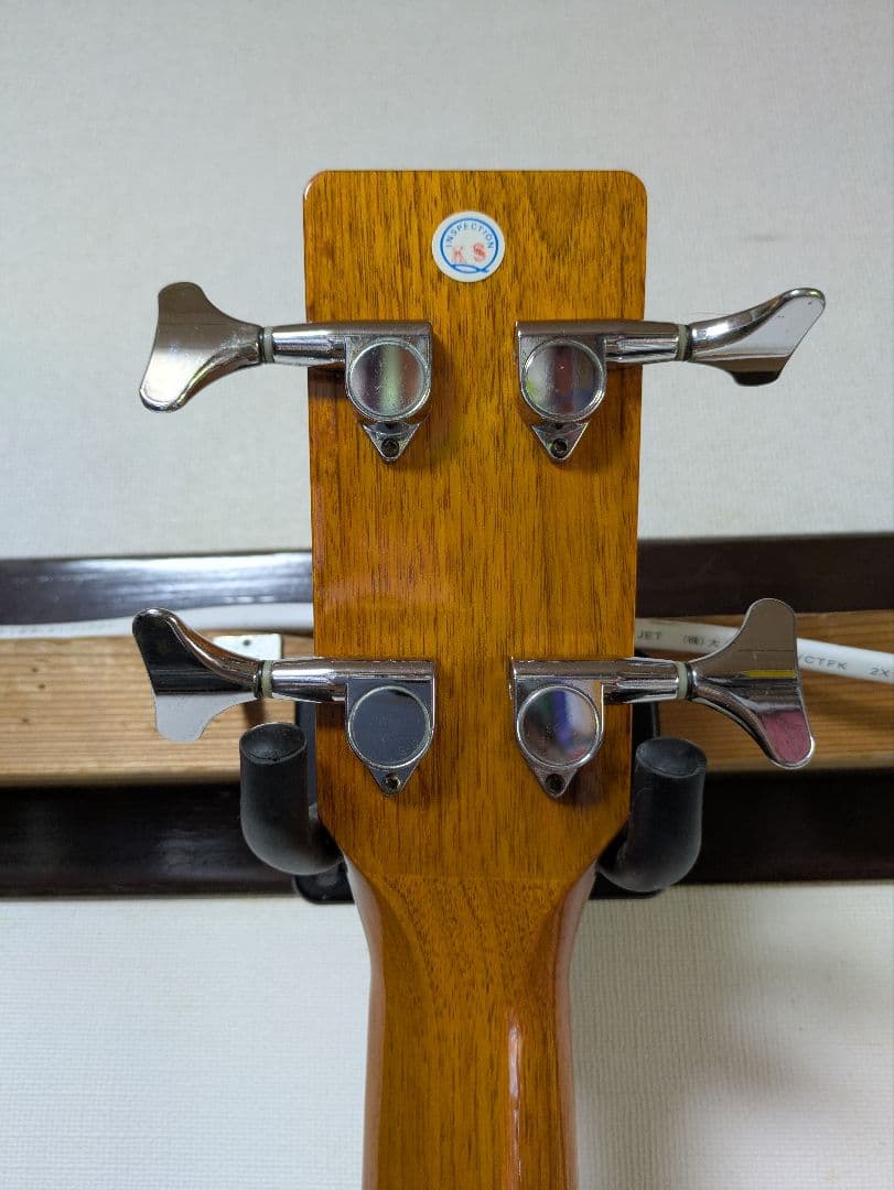 ZENN アコースティックベース フレットレスZB22CE-FL ソフトケース付