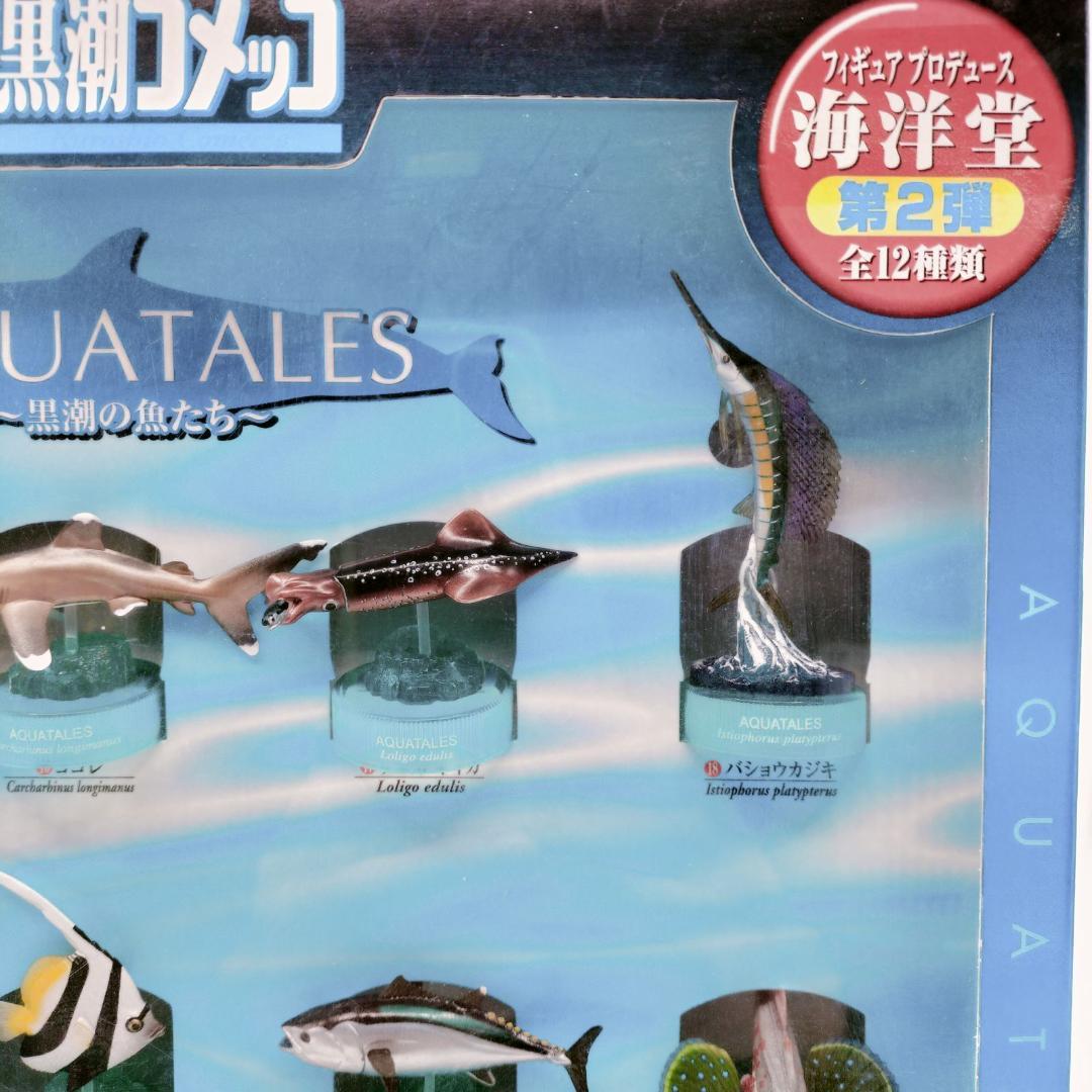 非売品】黒潮コメッコ 第2弾 販促用 BOX アクアテイルズ フィギュア