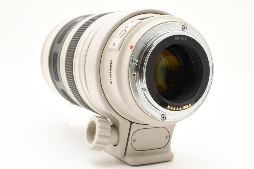 Canon EF 35-350mm F3.5-5.6 L USM ズームレンズ