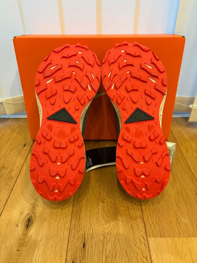 靴 Nike Pegasus Trail 2 GTX 25.5cm(US7.5)