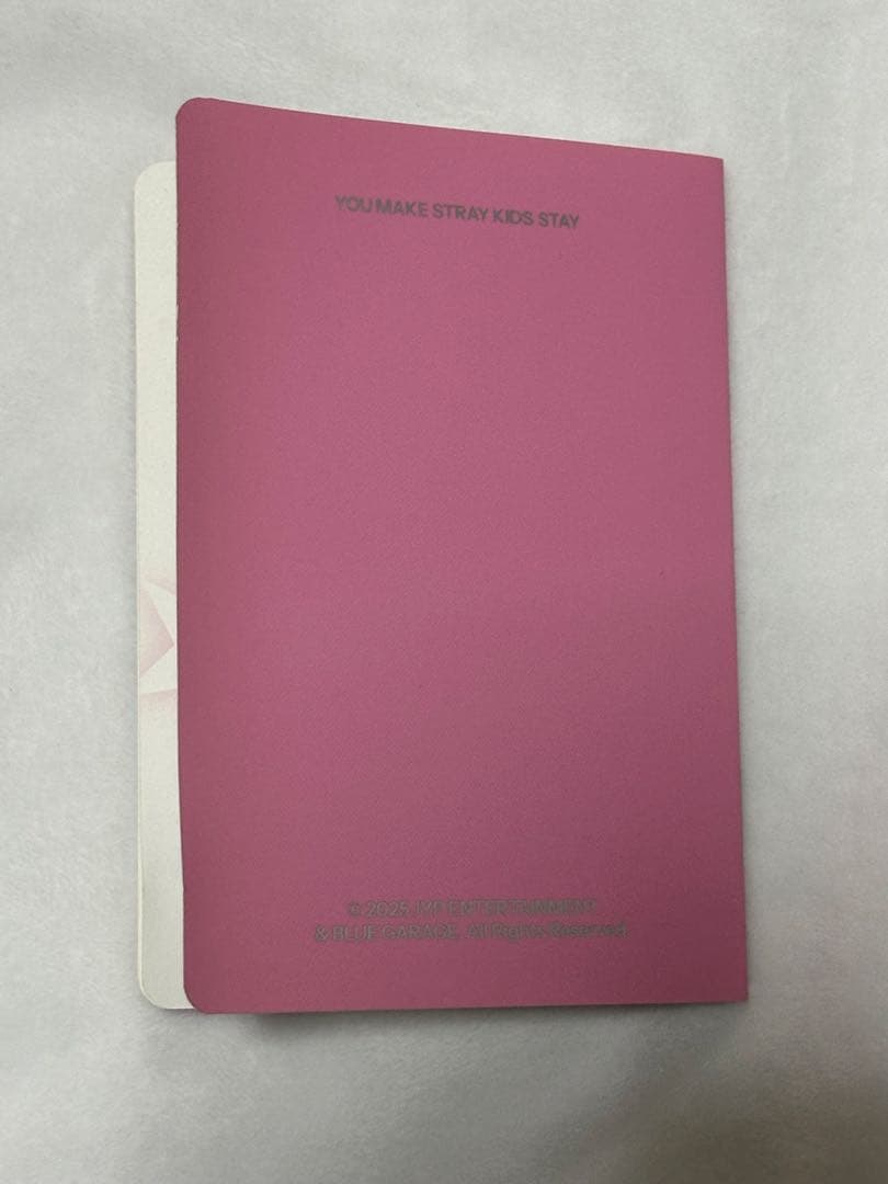 StrayKids SKZOO PLUSH テディベアver. ハン クオッカ