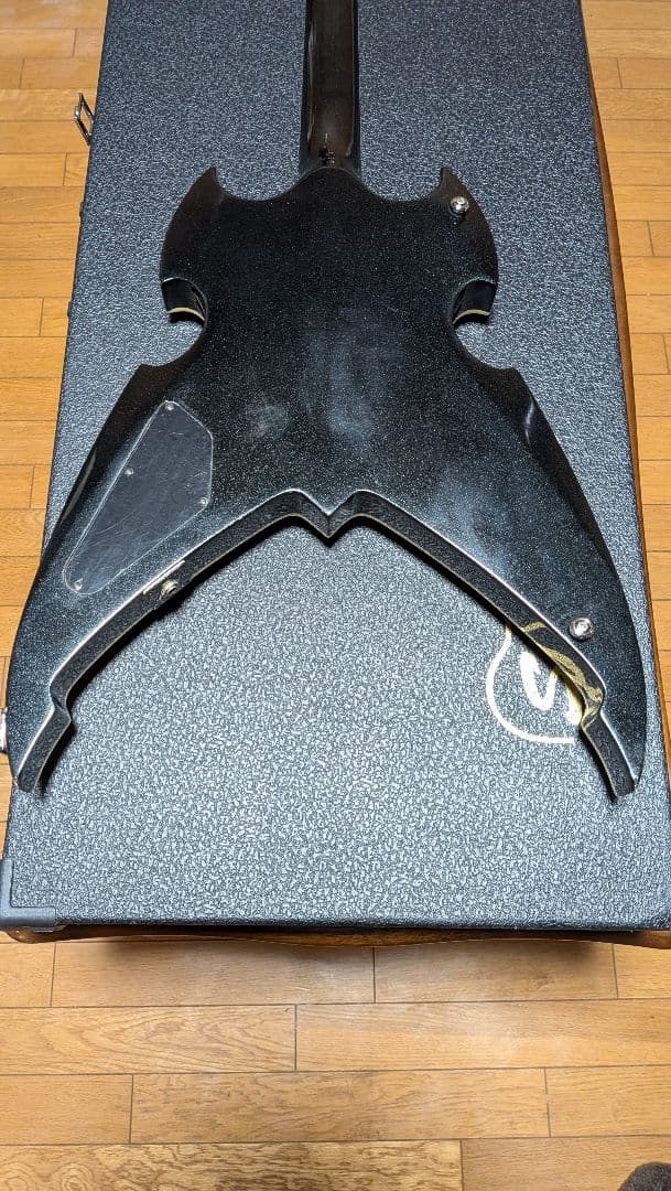 yme1051さま専用 シルバートーン PS-AP5 ポールスタンレー KISS - メルカリ