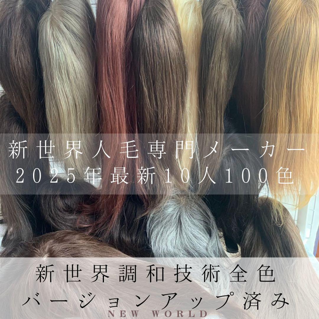 2025新世界ウィッグ 高級人毛100% レミー人毛 限定色 超ロングヘアの