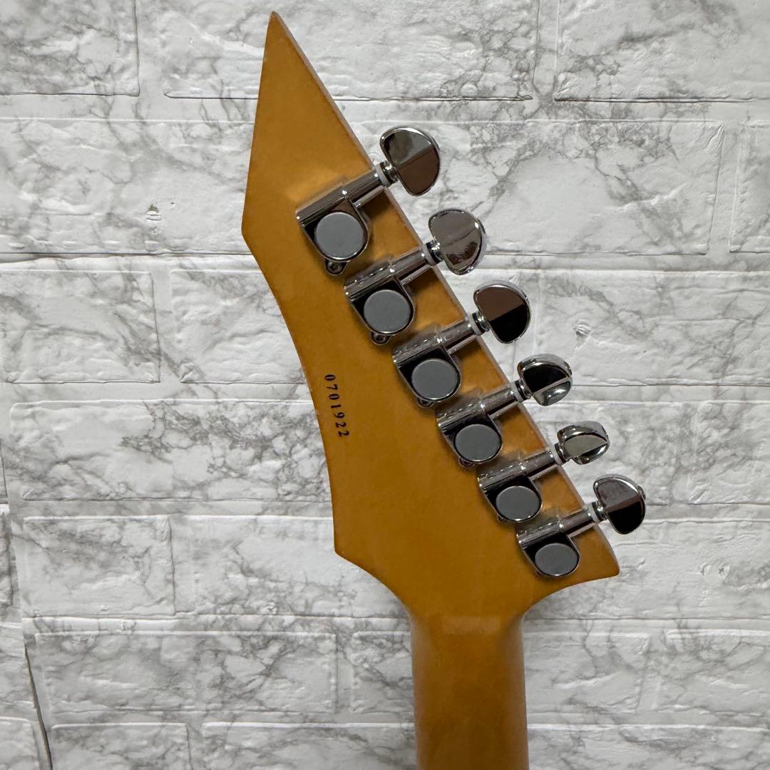 希少　B.C Rich 変形ギター　IRON BIRD アイアンバード　ケース付