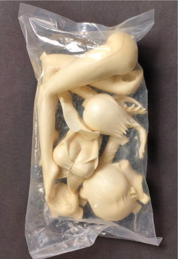 G-DOME Rio スーパーブラックジャック レジンキャスト ガレージキット