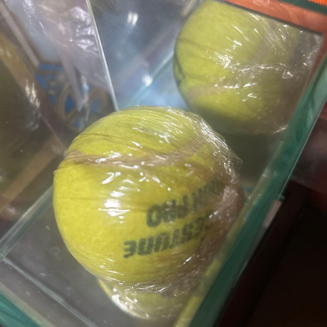 男子プロテニス 錦織圭 全盛期 直筆サインボール Wilson