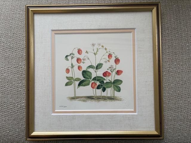 限定2500円OFF ロンドンV&A フラワーアート 2点 額装＆マット付き