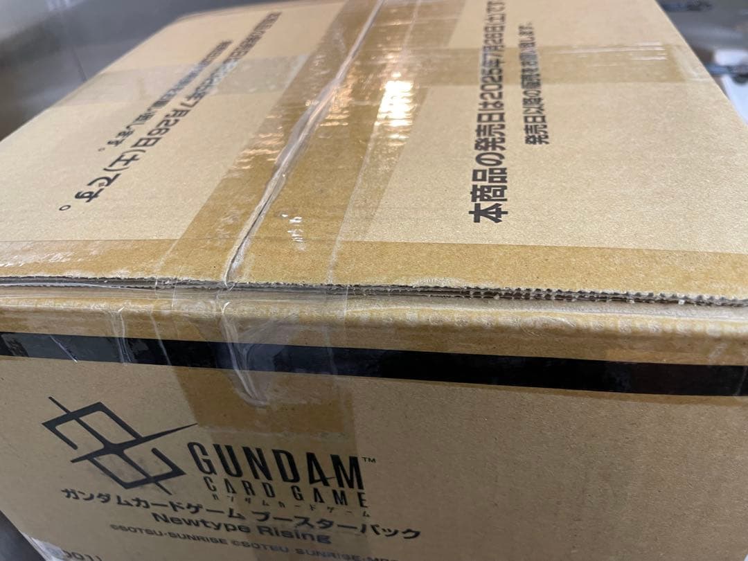 ガンダム　カードゲーム Newtype Rising 新品未開封1カートン