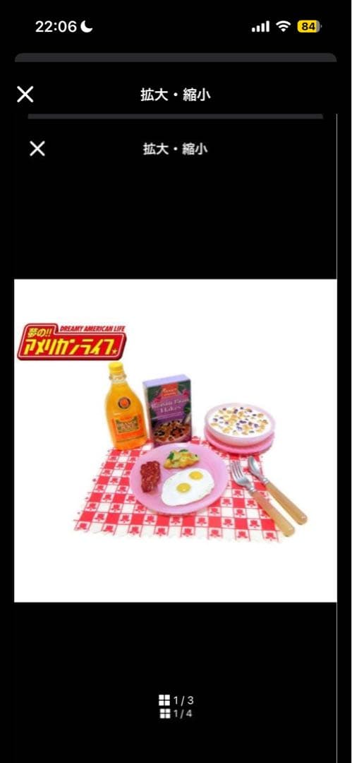 リーメント】夢の！！アメリカンライフ ⑪シークレット（レアカラー