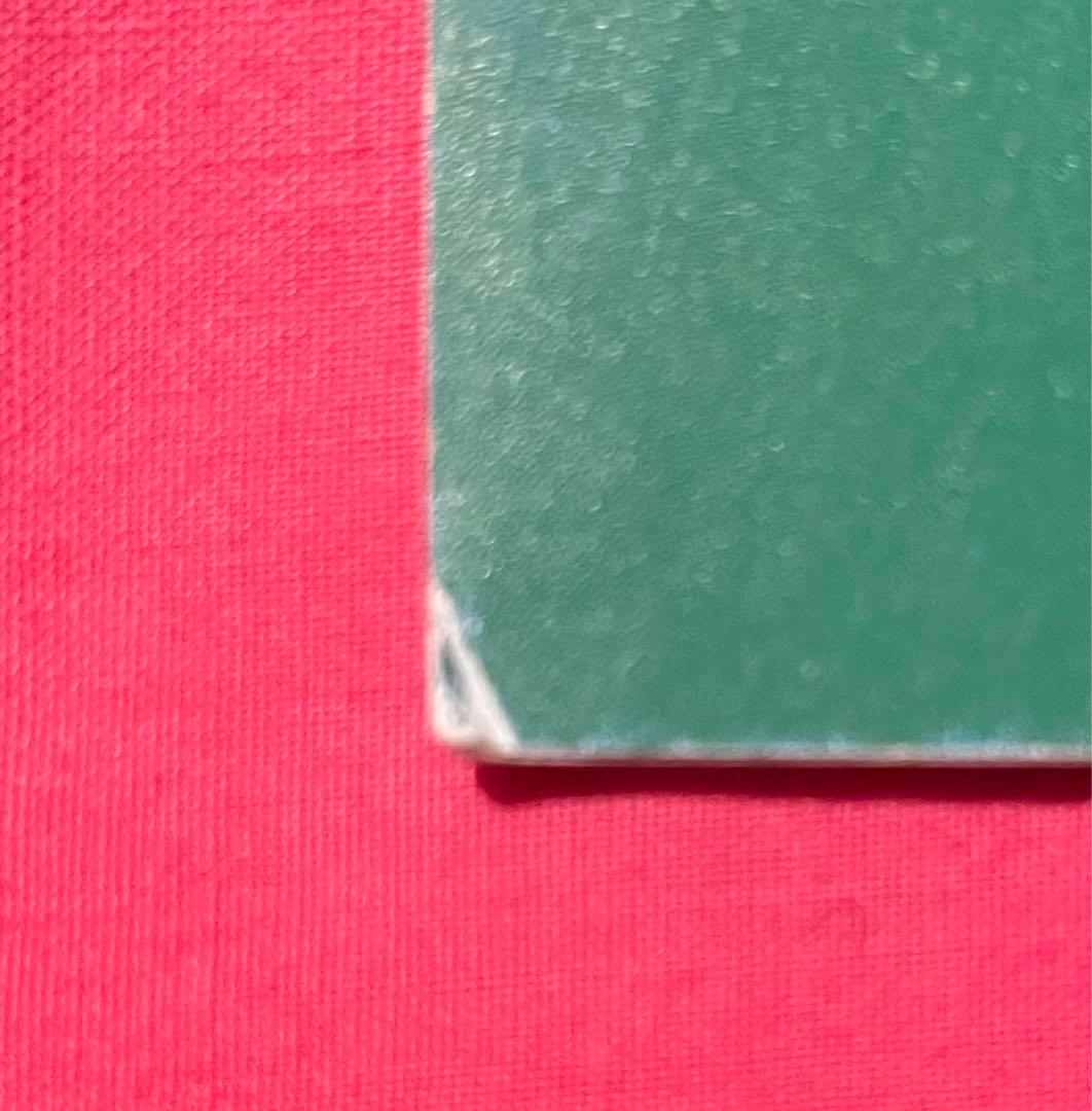 【鬼レアTHE TIMERS タイマーズ 忌野清志郎 RCサクセション 小冊子】