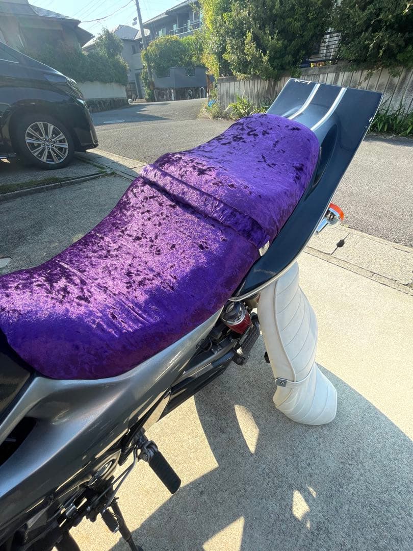 ⚠️火の玉様 専用⚠️人気 バリオス2 自作チンチラシート アンコ抜き