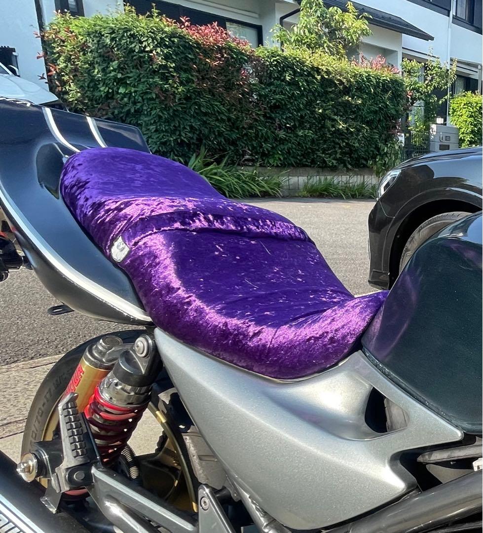 ⚠️火の玉様 専用⚠️人気 バリオス2 自作チンチラシート アンコ抜き