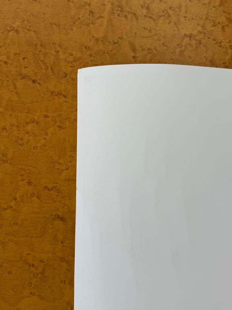 【新品】激レア　奈良美智　FireAid ポスター①