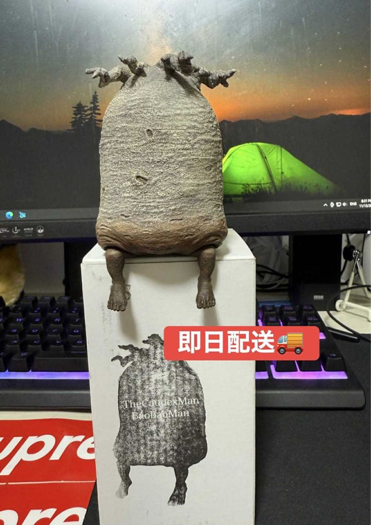 新品 ozwrt BaobabMan バオバブマン　ssサイズ