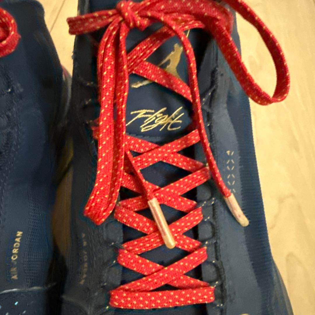 限定品】ナイキ エアジョーダン34 PE バイユーボーイズ ザイオン 28cm