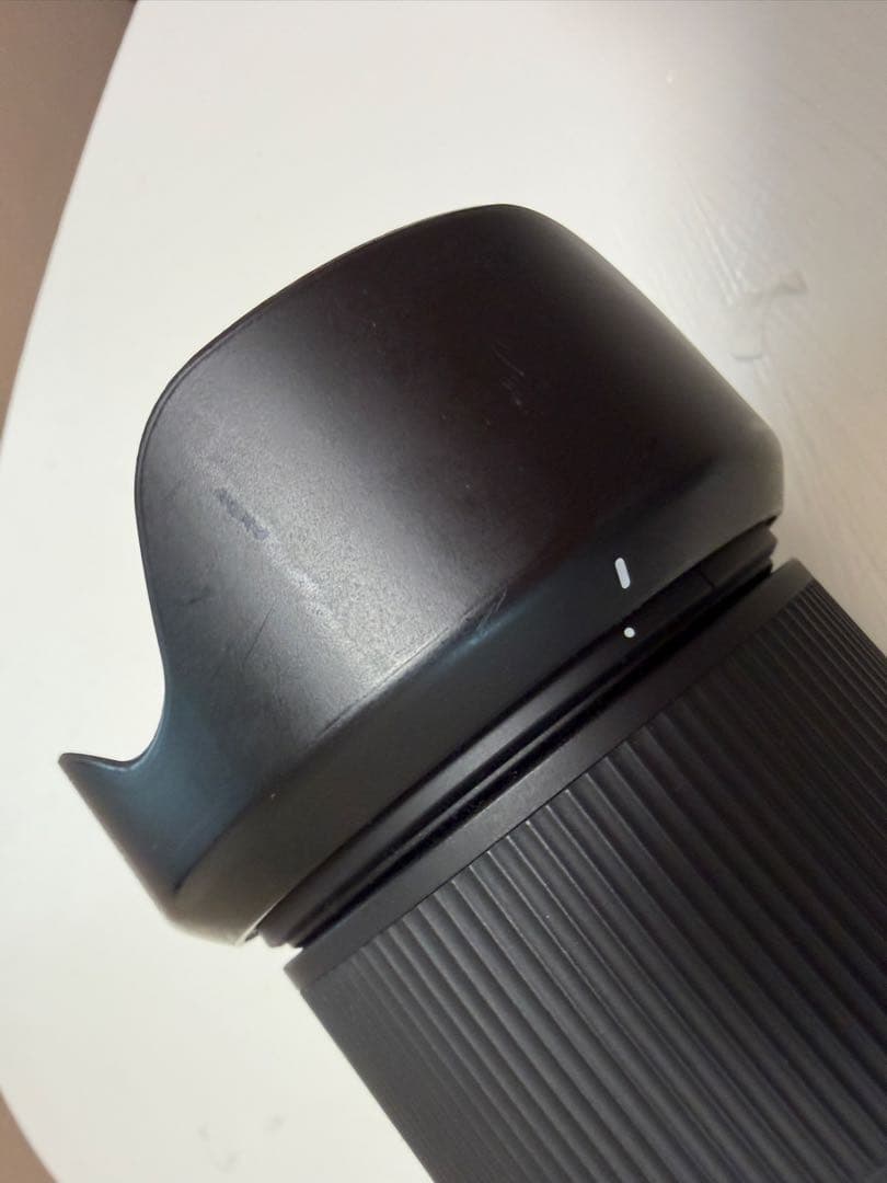 サ*…様 TAMRON 28-200mm F/2.8-5.6 Di III RX