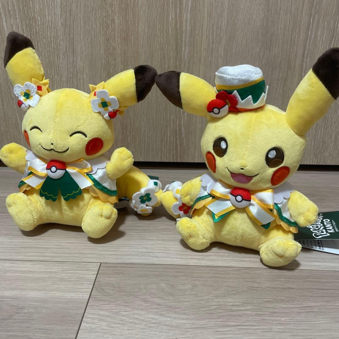 ポケパークカントー 限定 ピカチュウぬいぐるみ 2種類セット - メルカリ