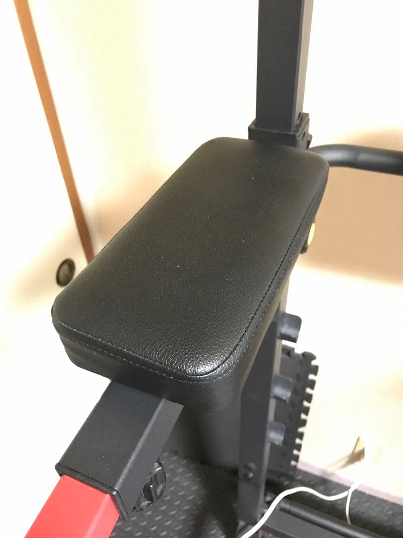 tazima様専用】BAW WING 懸垂バー付き