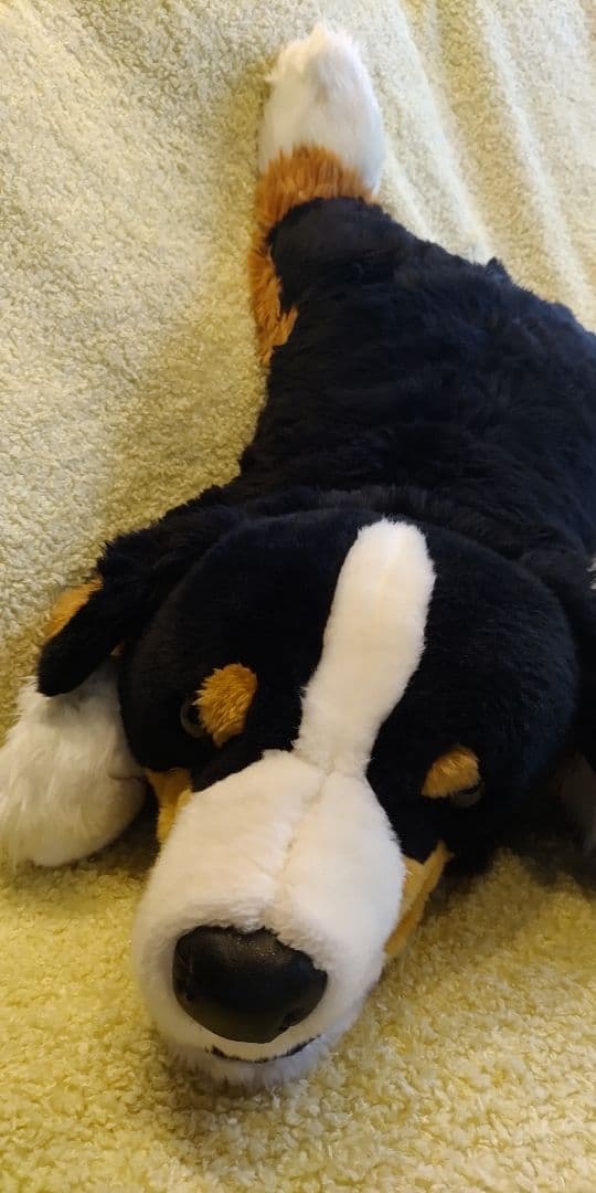 ハッピー★バーニーズマウンテンドッグ　特大ぬいぐるみ