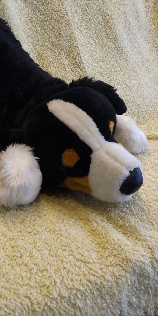 ハッピー★バーニーズマウンテンドッグ　特大ぬいぐるみ