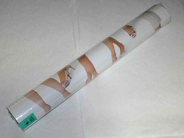 ☆カレンダー 2017年NHK気象予報士 酒井千佳/関口奈美/菊池真以さん