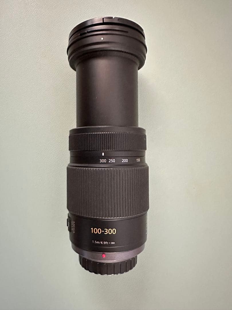 レンズ(ズーム) Panasonic LUMIX G VARIO 100-300 F4.0-5.6