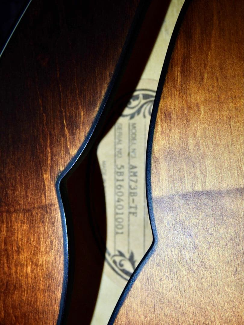 Ibanez / AM73B-TF Artcore セミアコ 中古 L108342937 - ギター