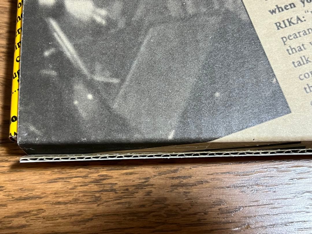 ミュージシャン SHOXX FILE 3 ROUGE 1994~2000