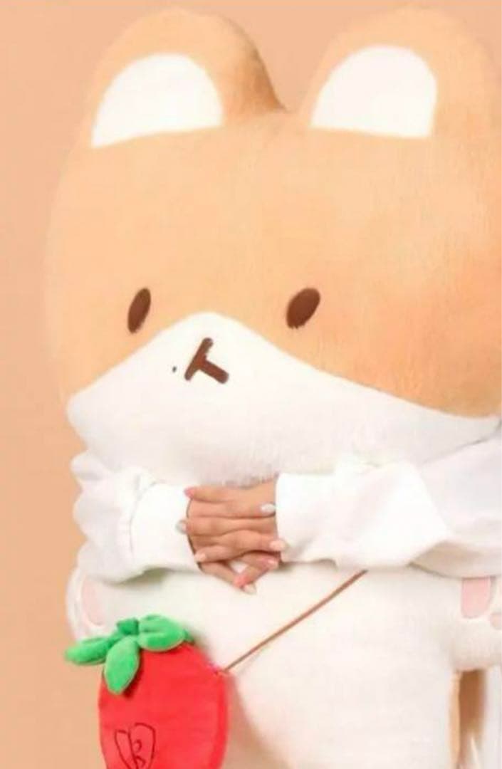 exo ベッキョン トレギ Amazon.co.jp: EXO トレギ ぬいぐるみ キーリング ベッキョン : おもちゃ