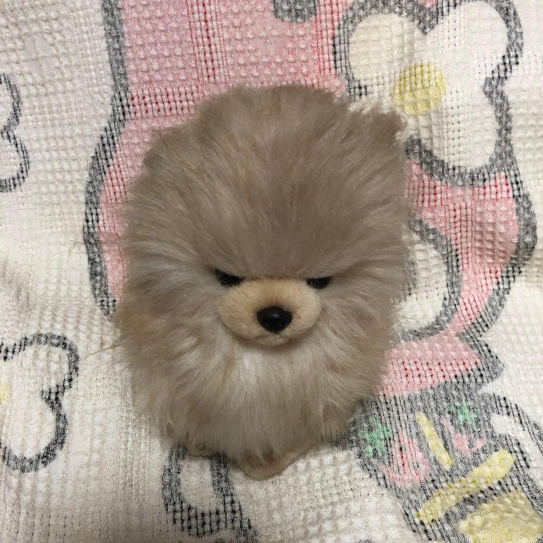 レトロ　ぬいぐるみの三英　ポメラニアン　犬　ぬいぐるみ　中古品