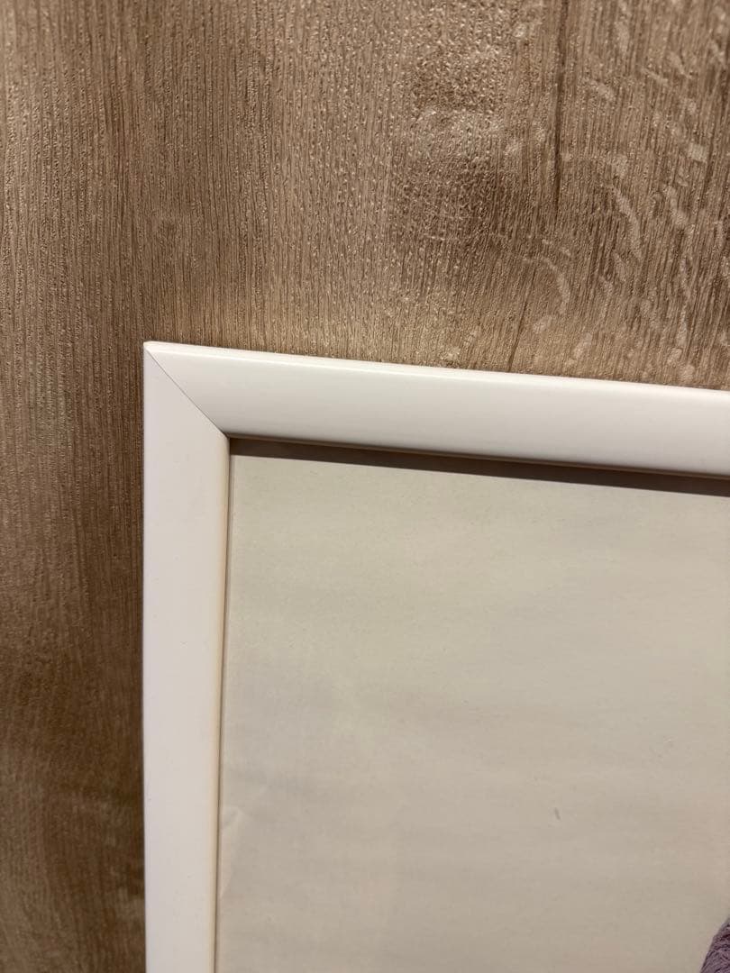 Supreme レディガガ　ポスター　フレーム付き　シュプリーム