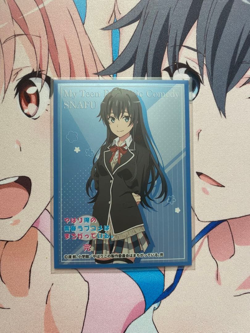 連ドラ構築済みデッキ40枚＋ドラグハート