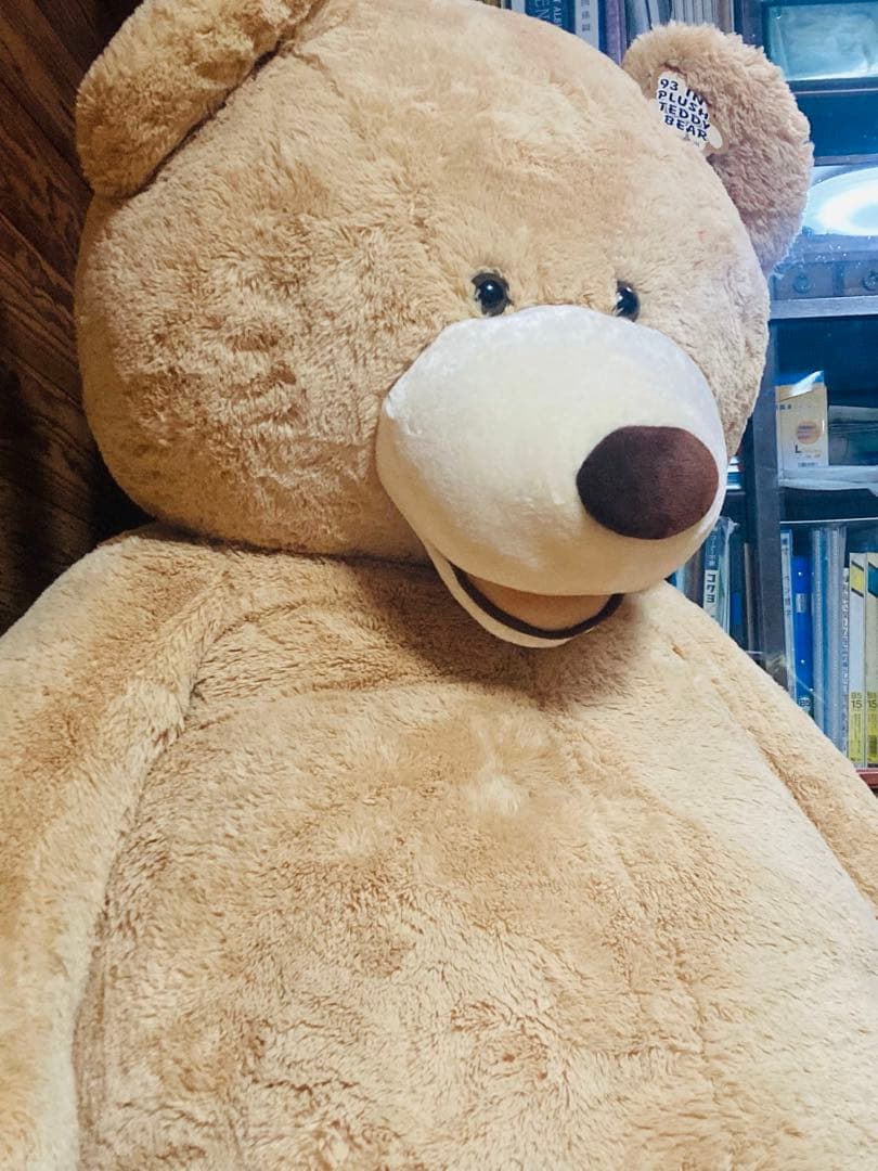 コストコ くま ぬいぐるみ COSTCO big bear 236cm