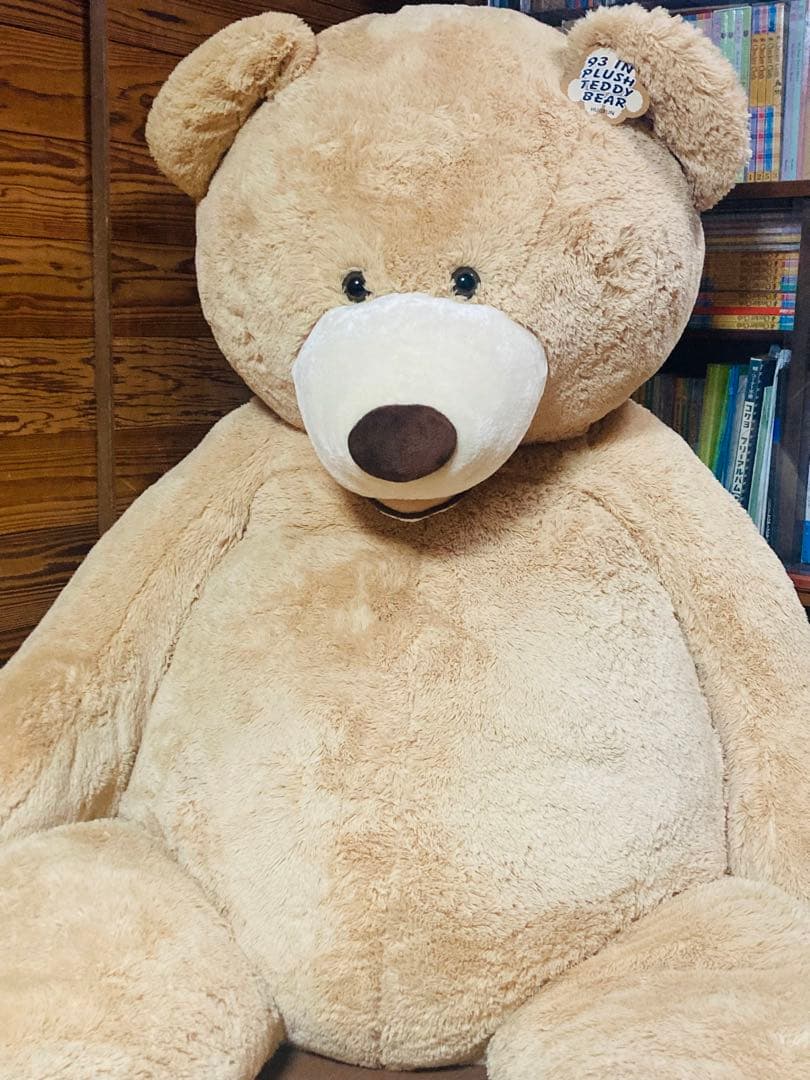 コストコ くま ぬいぐるみ COSTCO big bear 236cm