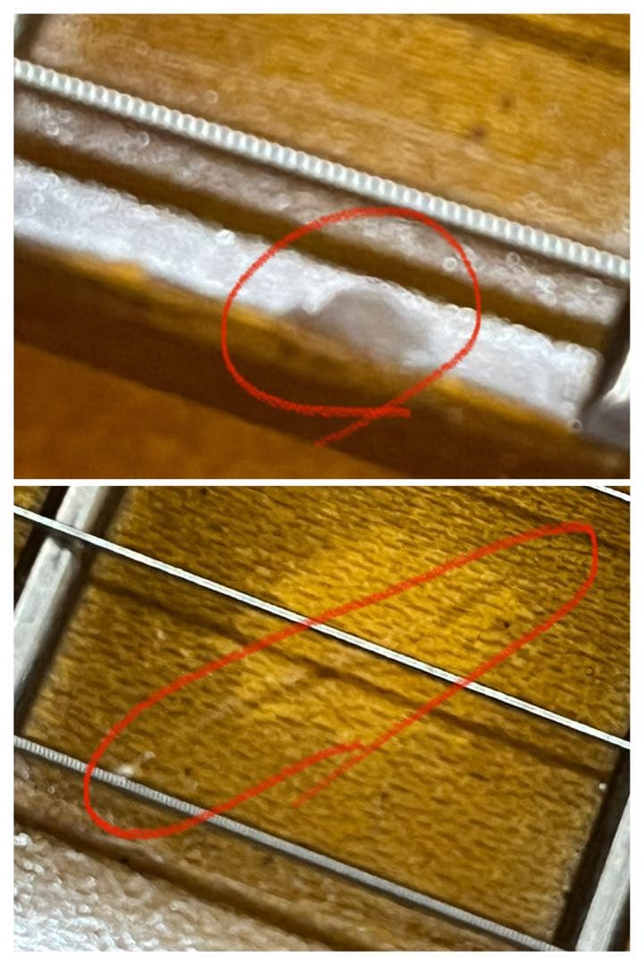 は*や様 正月セール！DeliciousTaylormade グリンバード　オリ