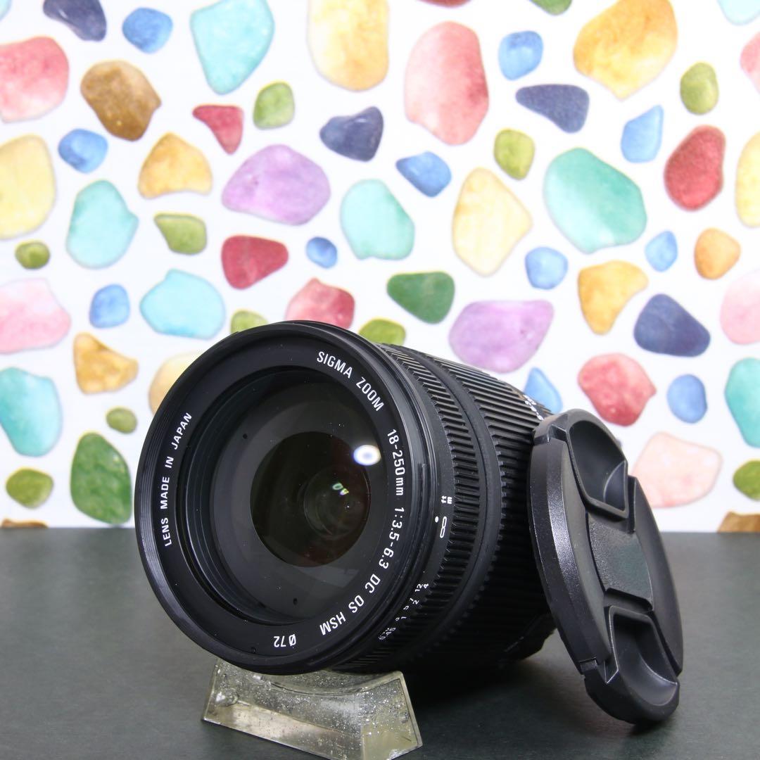 ♥︎◇近くから遠くまでこれ一本♪ SIGMA 18-250mm OS SONY Amazon | SIGMA 高倍率ズームレンズ 18-250mm F3.5-6.3 DC MACRO HSM