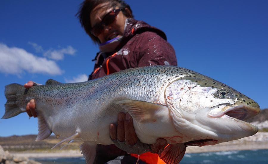 【Fishman/フィッシュマン】BRIST VENDAVAL 8.9M /*