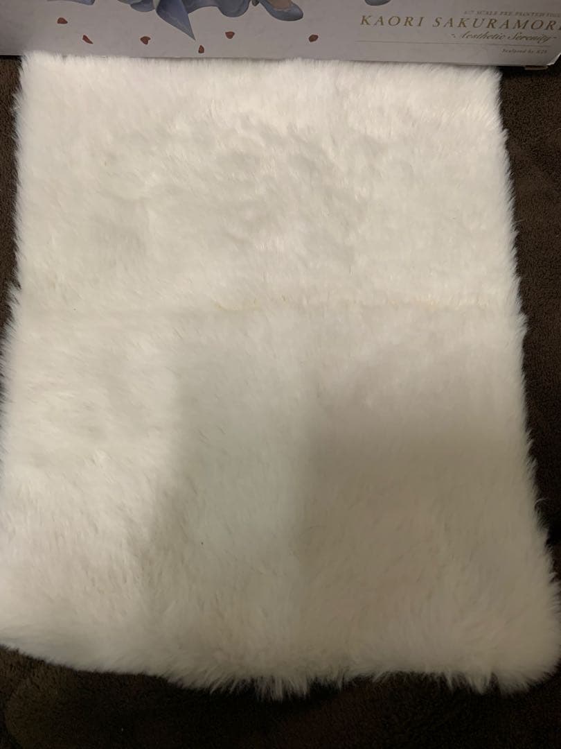 【開封】桜守歌織　エスセティック・セレニティ　limited edition