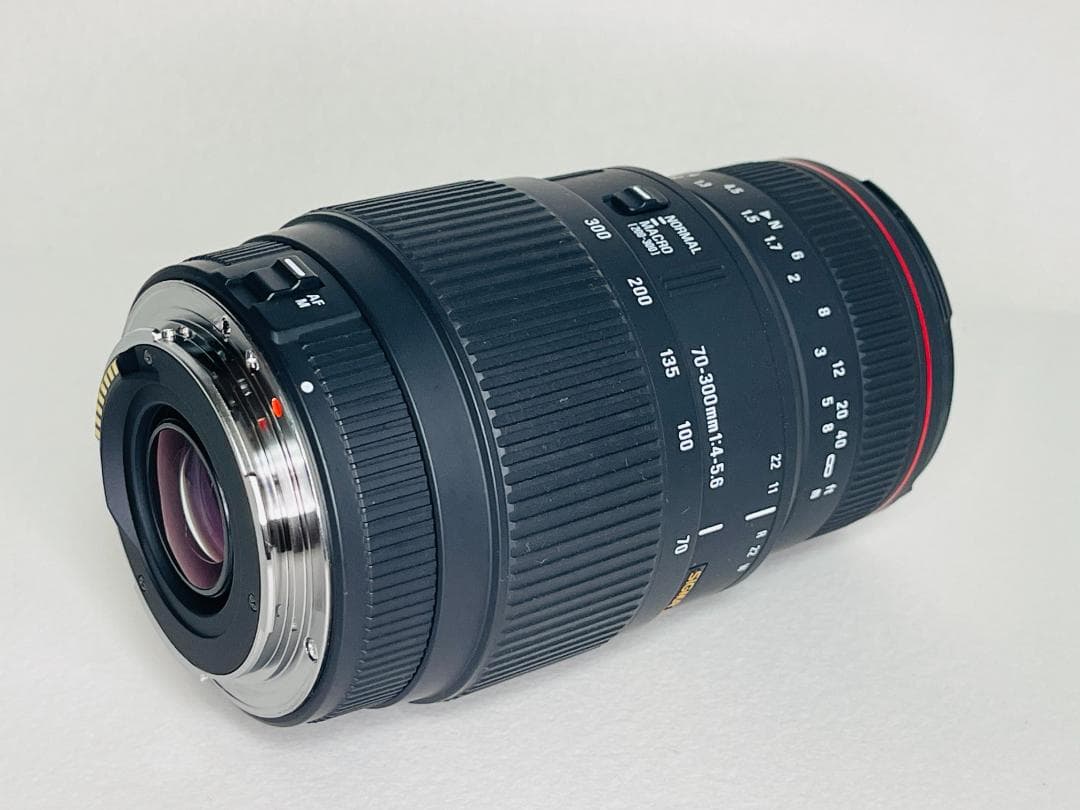 極上★シグマ SIGMA APO70-300/4-5.6 DG マクロ キヤノン