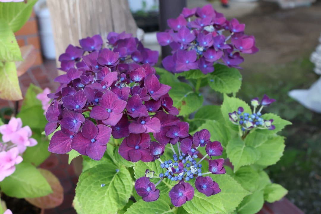 美品 CANON RF-S 18-45mm F4.5-6.3 IS STM