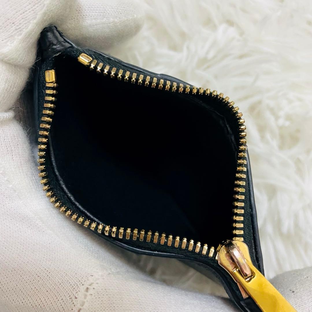 極美✨付属完備✨ボッテガヴェネタ フラグメントケース カセット