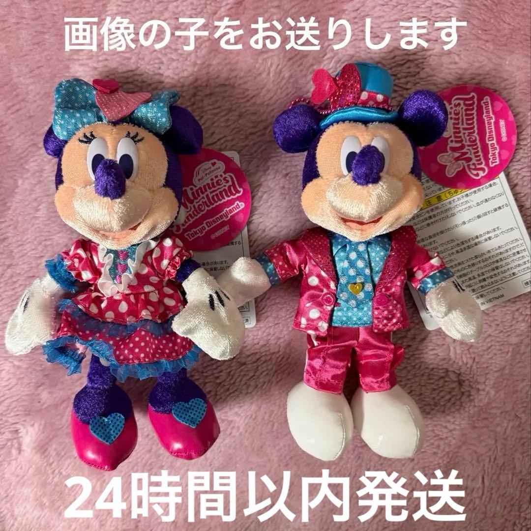ミニーのファンダーランド ぬいぐるみバッジ ミッキー＆ミニー - メルカリ