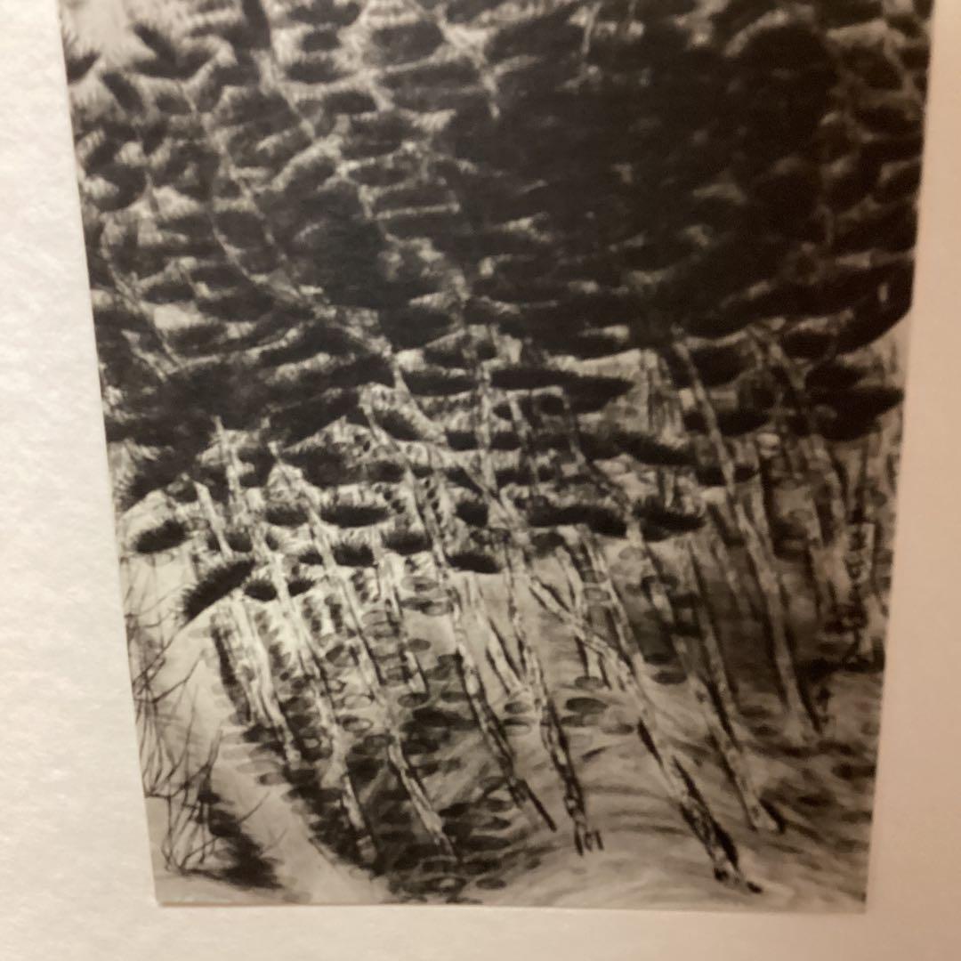 天才画家速水御舟　作品集大作編より　便利堂監修　画集NO 5 【　黄昏　】