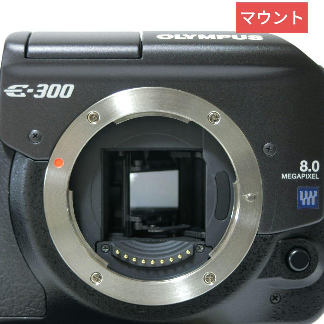 総ショット数 54枚】オリンパス E-300 ズームレンズ2本 未使用品多数有