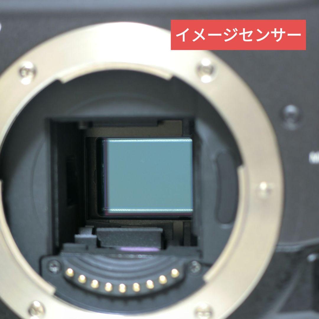 総ショット数 54枚】オリンパス E-300 ズームレンズ2本 未使用品多数有