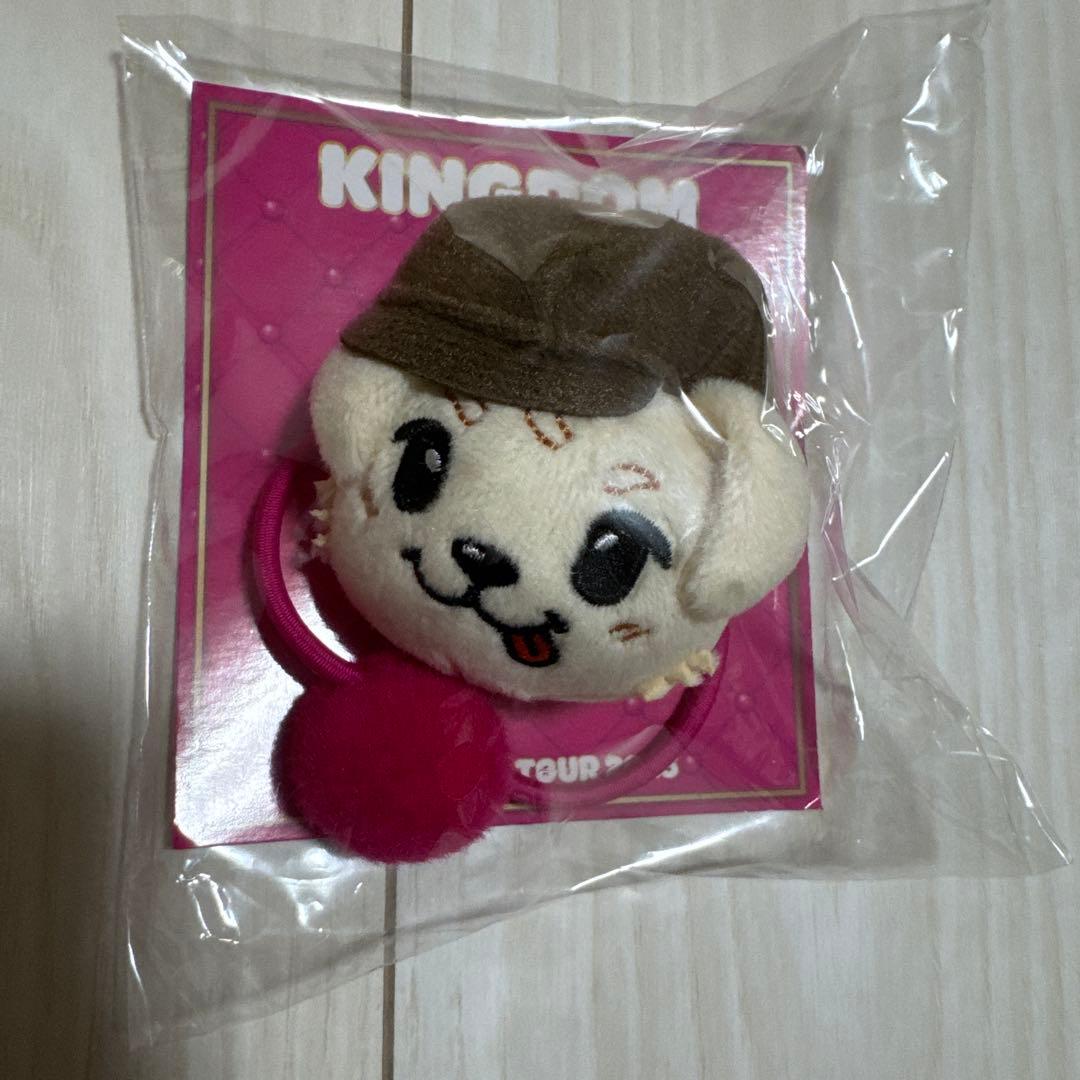 KINGDOM 2025 JSB3ポンポンキャラクターヘアゴム4つセット