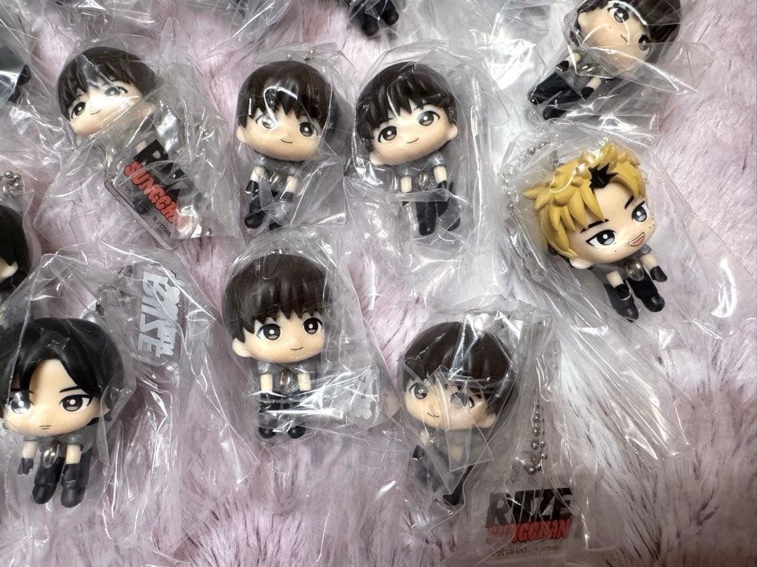 RIIZE つまんでつなげてますこっと でらっくす! 24個