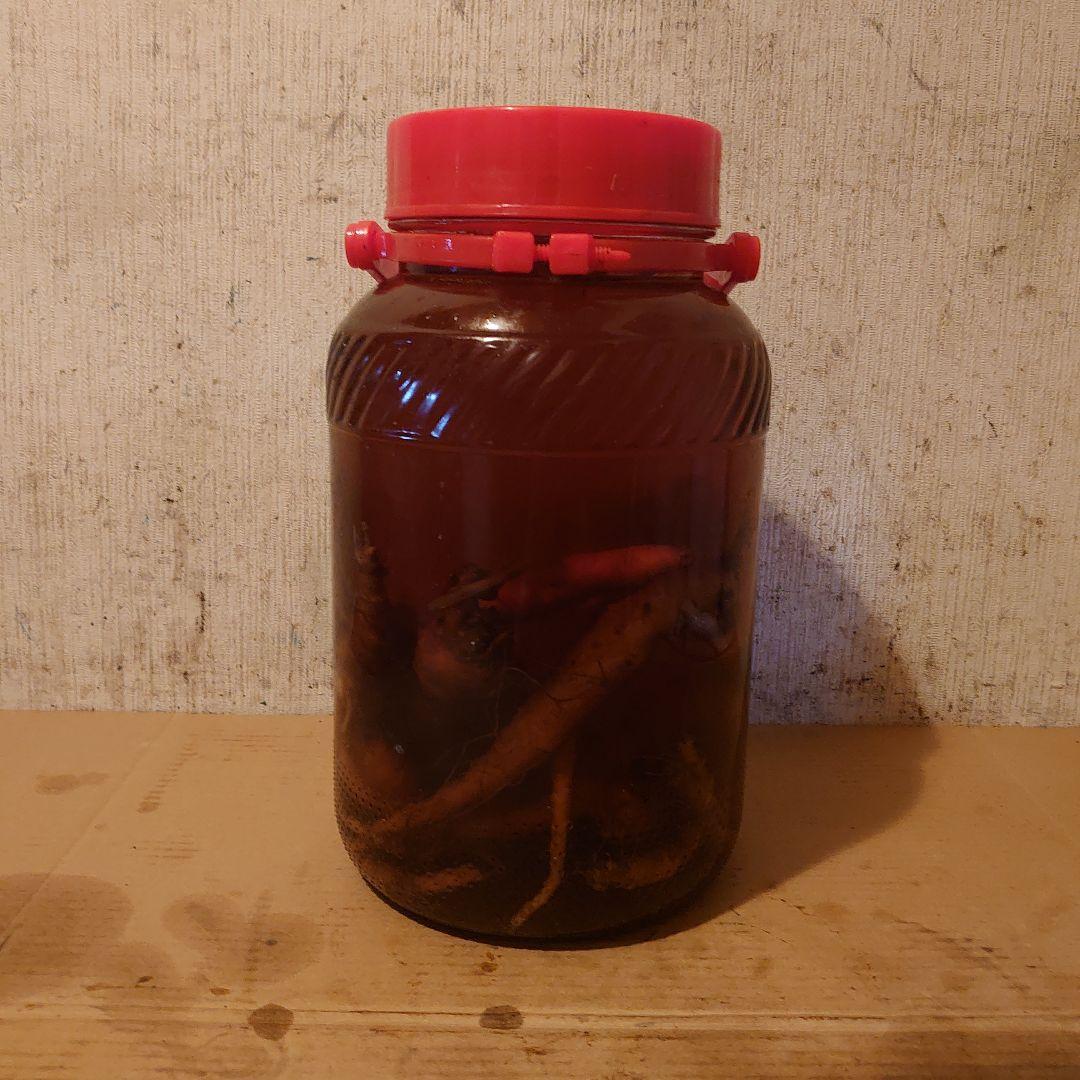 奈良県吉野山系吉野で採取りした天然物ツルニンジン酒5Ｌ入り 奈良県吉野山系吉野で採取りした天然物ツルニンジン酒5L入りの通販