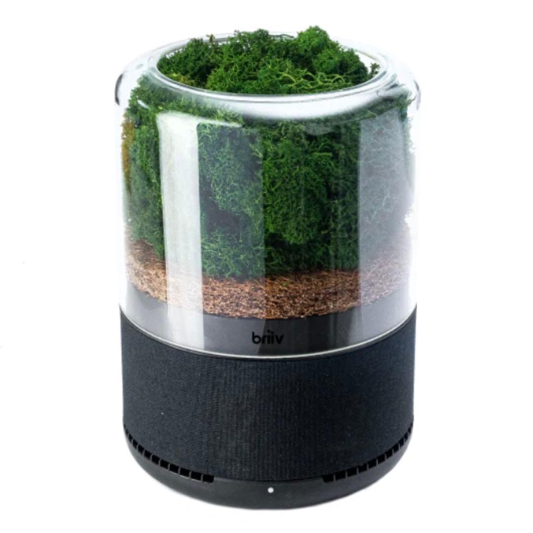 空気清浄機・イオン発生器 [FIVE Create Ltd.] Briiv Single Pack ブリーヴ】空気清浄機 – GQ SHOP